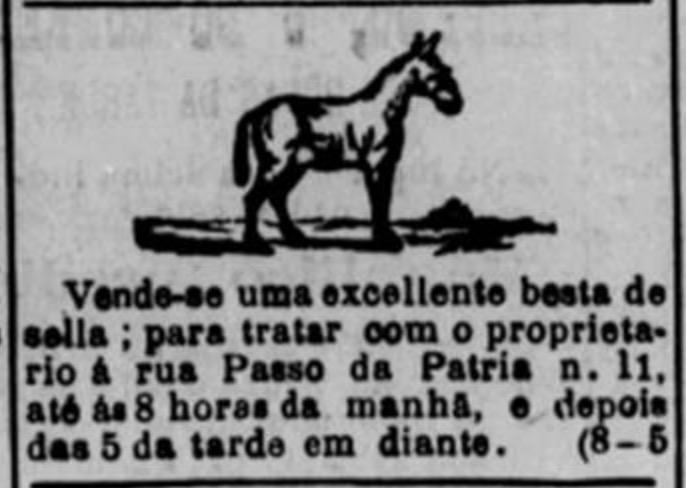 Anúncio de 1898 promovia a venda de uma besta para montagem de sela