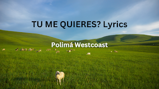 TU ME QUIERES Lyrics - Polimá Westcoast