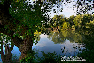 Bocal Visita por el Moncayo Ribera del Ebro Canal Imperial de Aragon