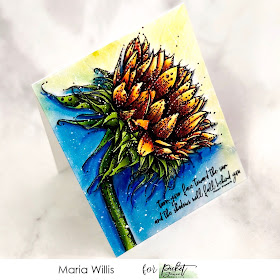 #mariawillis, #cardbomb, #cards, #stamp, #ink, #paper, #papercraft, #craft, #cardmaker, #cardmaking, #art, #diy, #handmade, Picket Fence Studios, Face the Sun, #sunflower, #copicmarkers, #watercolor, 