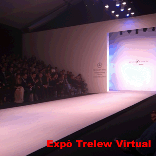 Gif-pasarela
