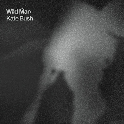 Kate Bush - Wild Man Lyrics