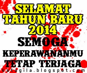 tahun baru 2014