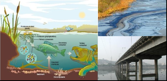 Water Pollution Effects Blog 2015: Water Pollution on ...