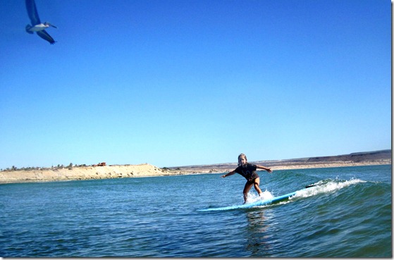 scorpion bay 110