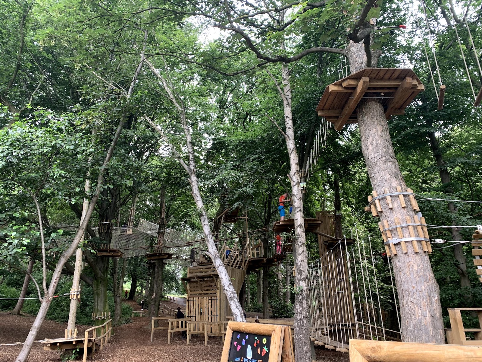 Go Ape Temple Newsam Review And Discount Code Girl Up North