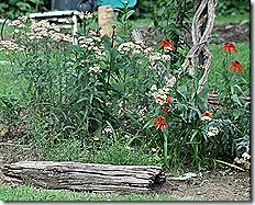 Copy (1) of IMG_0004