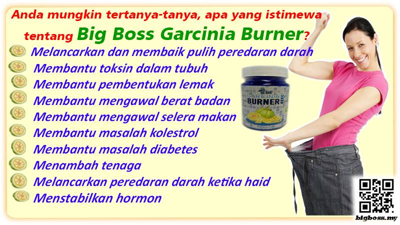 UBAT KUAT TAHAN LAMA : Big Boss Garcinia Burner- Cantik 