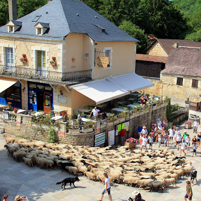 Transhumance passing through the village.