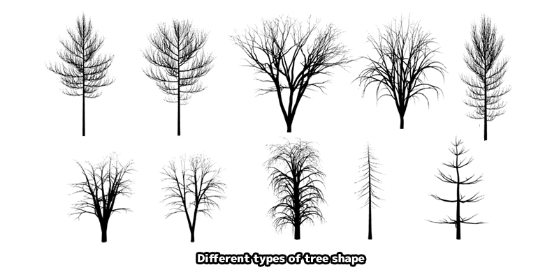 tree shapes