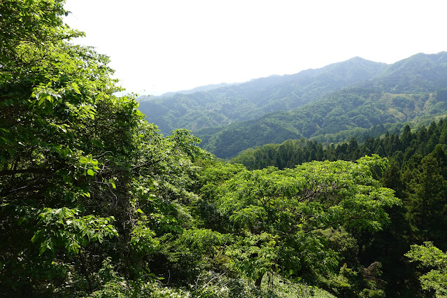 鳥取県西伯郡南部町東上 鎌倉山グリーンライン