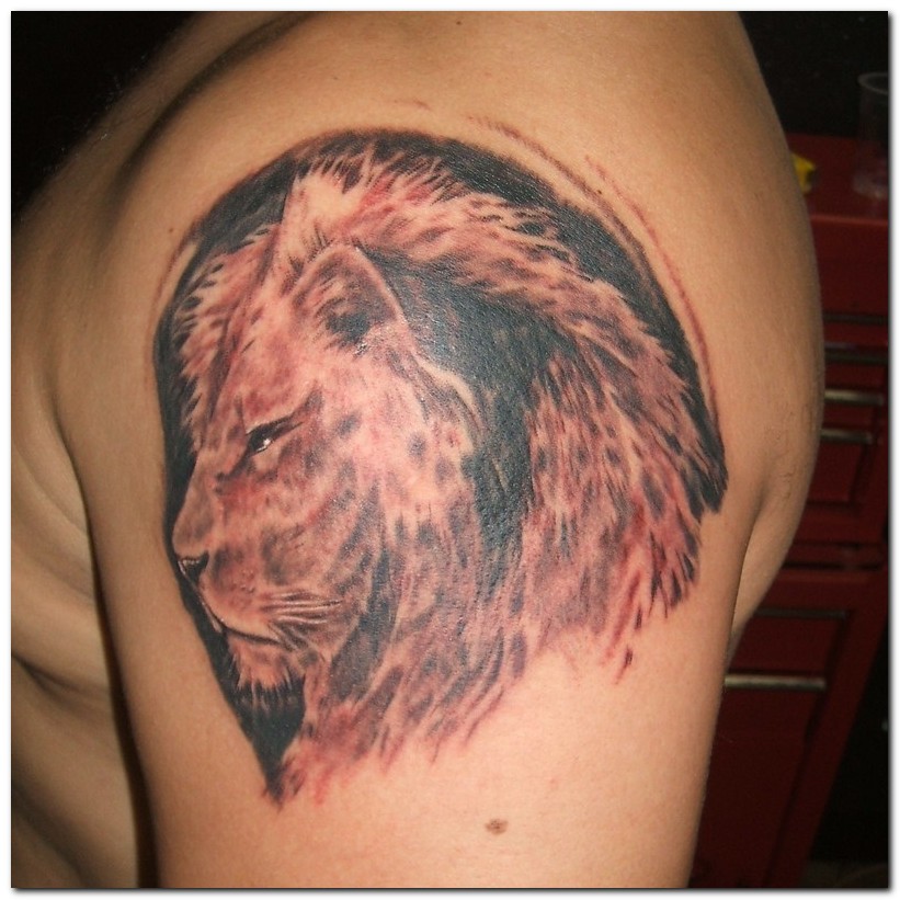 lion tattoo images. Chinese Lion Tattoo Meaning.