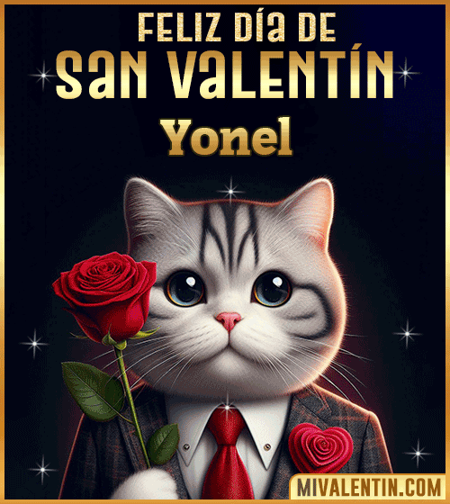 Gif con Nombre de feliz día de San Valentin Yonel