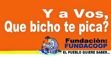 NARANJA7