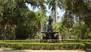 Botanical Garden (Jardim Botanico)