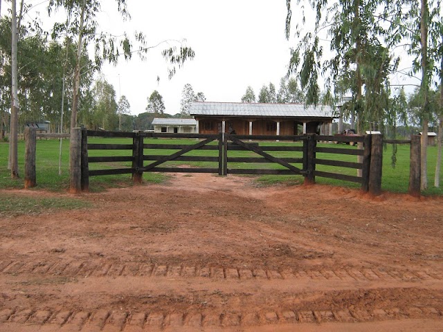  Dorjival Silva vende Fazenda Tatiane em Juara; Alqueire por apenas R$ 5.600,00