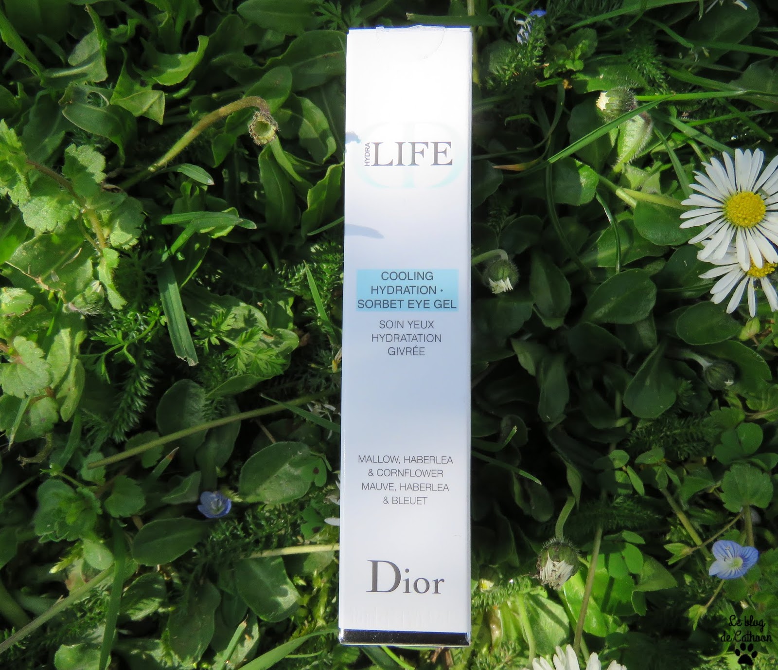 Hydra Life - Soin Yeux Hydratation Givrée - Dior