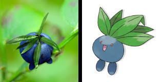 Oddish