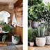 Decorate with green plants your bathroom