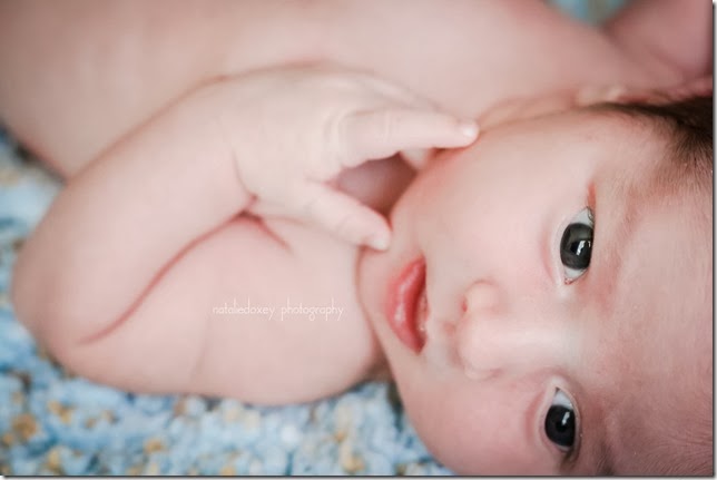Langager Newborn 2013 743