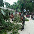 Posyandu Nusa Indah Ditimpa Pohon, Babinsa Kelurahan Pasir Panjang Bersama Masyarakat Gotong Royong Menyingkirkannya.