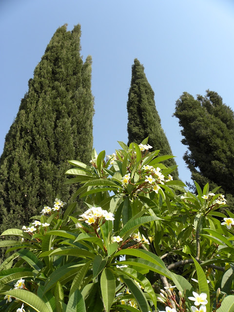 Bahai Gardens Acre Israel