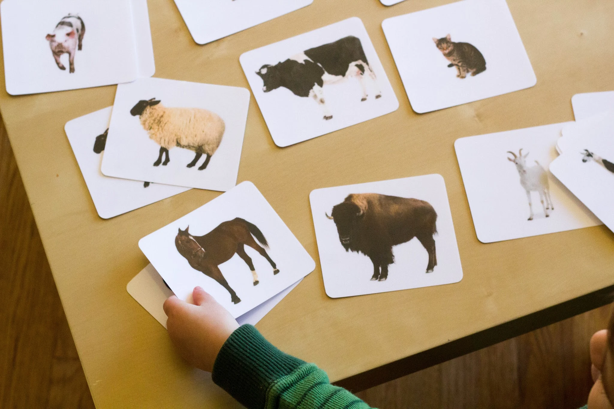 Picture-to-picture matching is a great, simple activity for a Montessori toddler. This is the final type of matching work for toddlers in the Montessori curriculum.