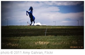 'Evil blue horse of doom. Weird public art choice for airport.' photo (c) 2011, Amy Gahran - license: http://creativecommons.org/licenses/by/2.0/