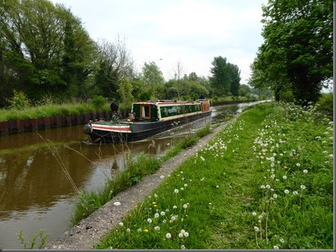 Hassall Green to Middlewich 028