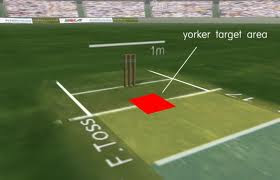 Cricket,glossary of cricket terms,sachin tendulkar,yorker,mallinga,sledging,new ball,wallpaper,images