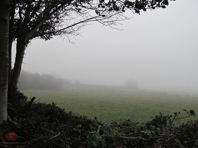 A Cold and Misty Afternoon - 19th December 2021
