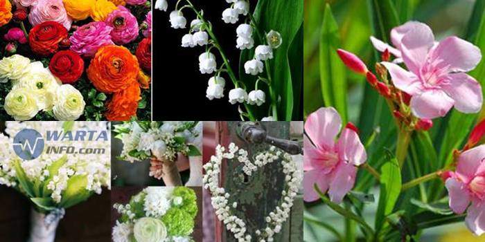 5 Bunga Cantik Indah Paling Beracun dan Mematikan di Dunia ...