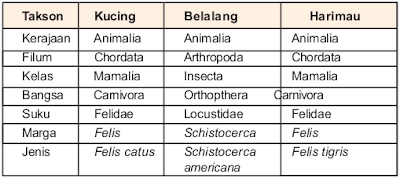 Klasifikasi Hewan