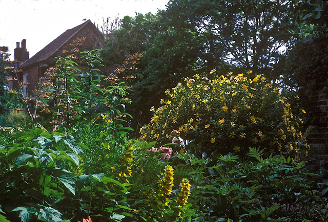 Garden at Lamb House, Rye, England  2003
