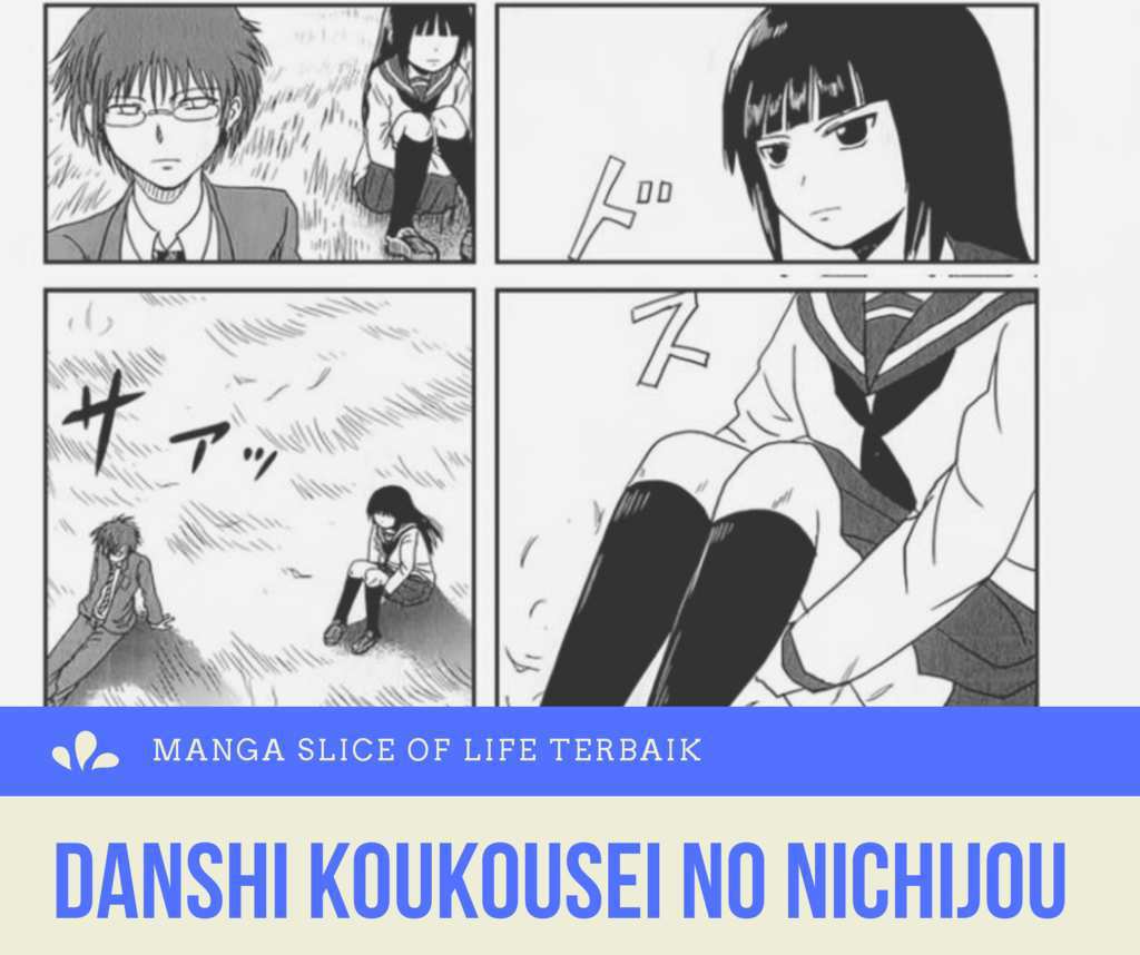 Manga Danshi Koukousei no Nichijou