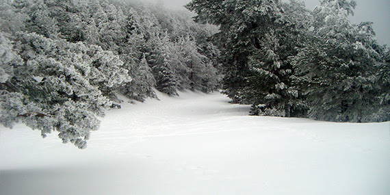 Ruta al puerto de La Fuenfría, diciembre 2012