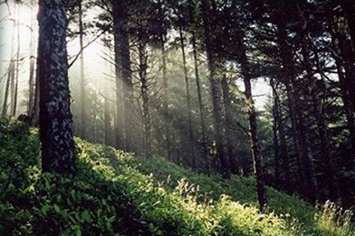 Tiến trình một cuộc thám du ngắn ngày