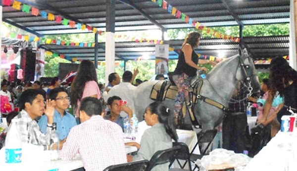 DIPUTADA PERREDISTA DE GUERRERO PRESUME CABALLOS DE 500 MIL PESITOS.