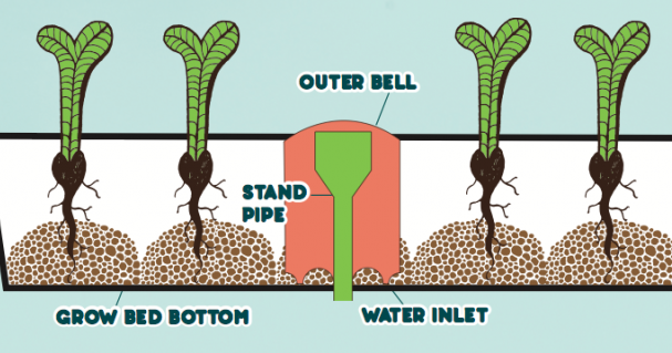 Aquaponics - Commercial aquaponics - Hydroponics - Grow ...