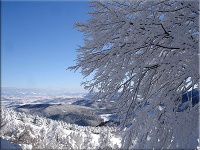 Bella estampa invernal