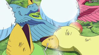 ワンピース アニメ 空島 スカイピア 161話 | ONE PIECE Episode 161 Skypiea