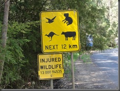 Schild