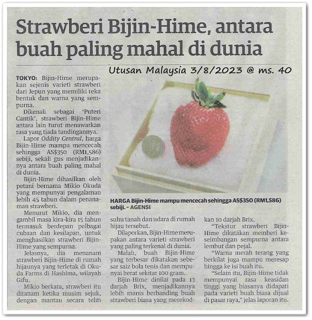 Strawberi Bijin-Hime, antara buah paling mahal di dunia - Keratan akhbar Utusan Malaysia 3 Ogos 2023