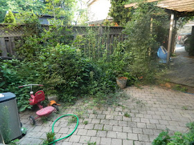 Playter Estates Toronto late summer garden cleanup before by Paul Jung Gardening Services