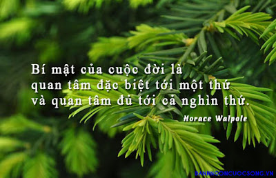 Top những câu danh ngôn cuộc sống hay nhất từ trước đến nay