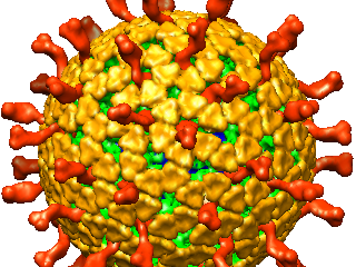 Apakah Rotavirus? Simptom dan Tanda-tanda Serangan Rotavirus