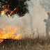 Υπό έλεγχο και τα δύο πύρινα μέτωπα στην Ηλεία - Επιχείρηση για την πλήρη κατάσβεση