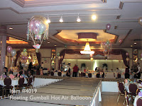 Balloon Netting7