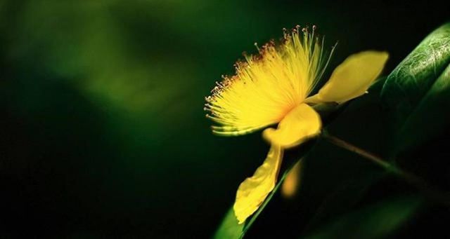 clip_image003