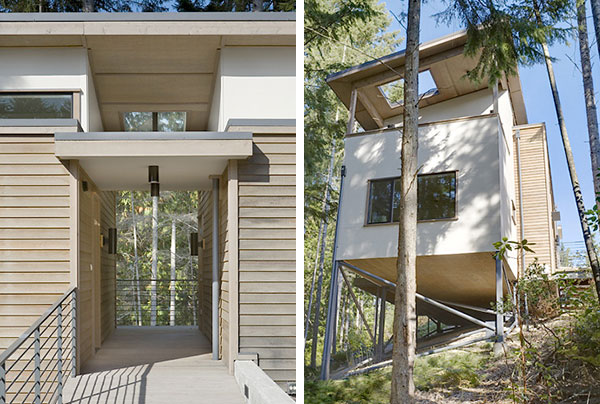 Natural Plywood House